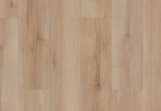 Coretec Pro Enhanced Lucent Oak Luxury Vinyl Plank