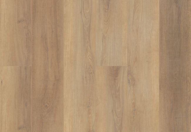 Coretec Pro Plus Enhanced HD Canterbury Elm Luxury Vinyl Plank