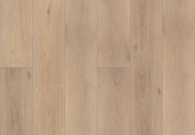 Coretec Pro Plus Enhanced HD Ravenswood Oak Luxury Vinyl Plank