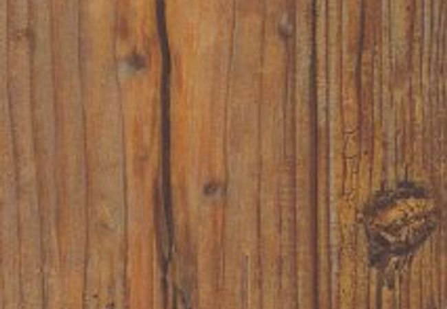 Coretec Floors Originals Classics Carolina Pine view 2