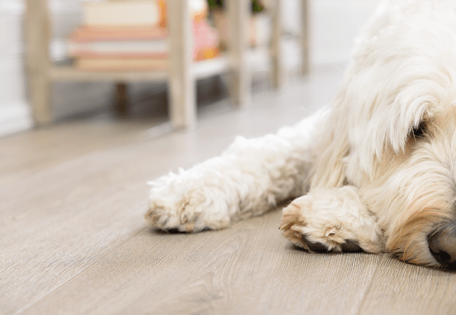 Coretec Floors Scratchless Wythe Oak view 2