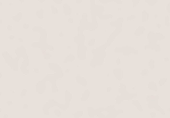 Ceratec Tile Gemini Avorio