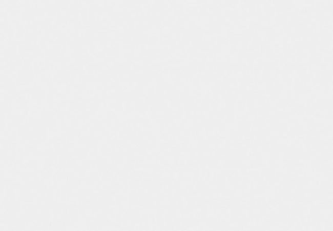 Ceratec Tile Superwhite White