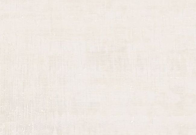 Ciot Tile 24''x24'' Alameda Blanco Matt