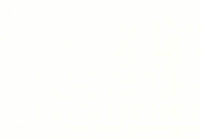 Ciot Tile Colors White Nat. Rt 24''x24''