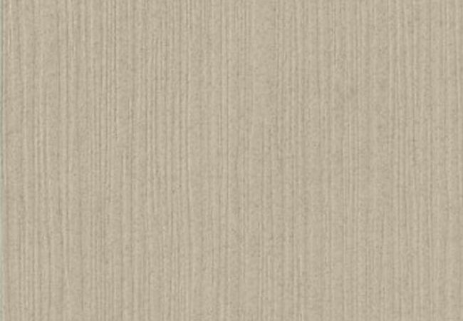 Ciot Tile Fashion Grey Pol. Rt 24''x24''