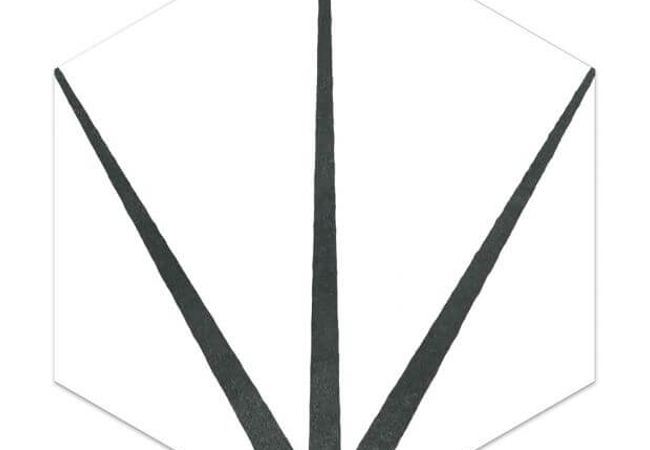 Ciot Tile Starline Hexagon White Nat. 10X12