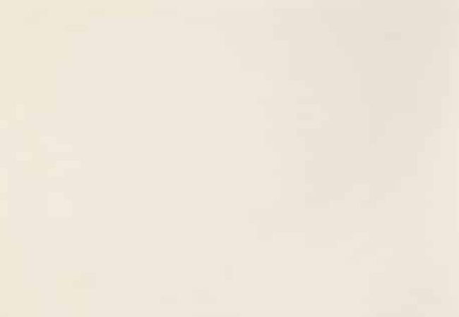 Daltile Composition Canvas Matte