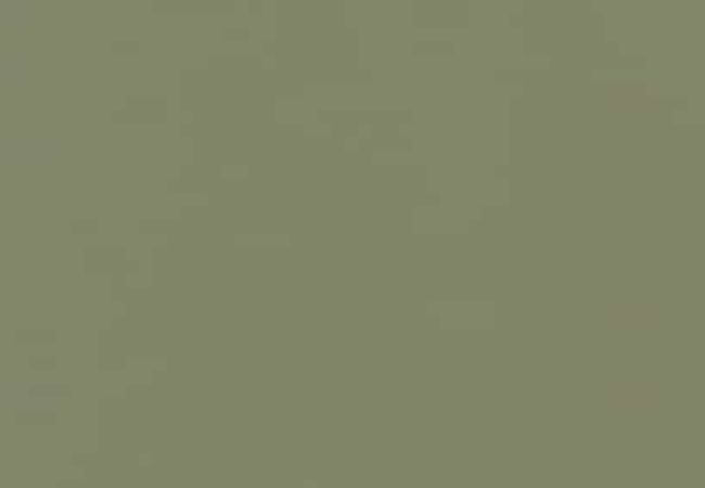 Daltile Color Wheel Classic Garden Spot