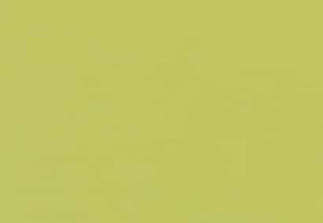 Daltile Color Wheel Classic Key Lime