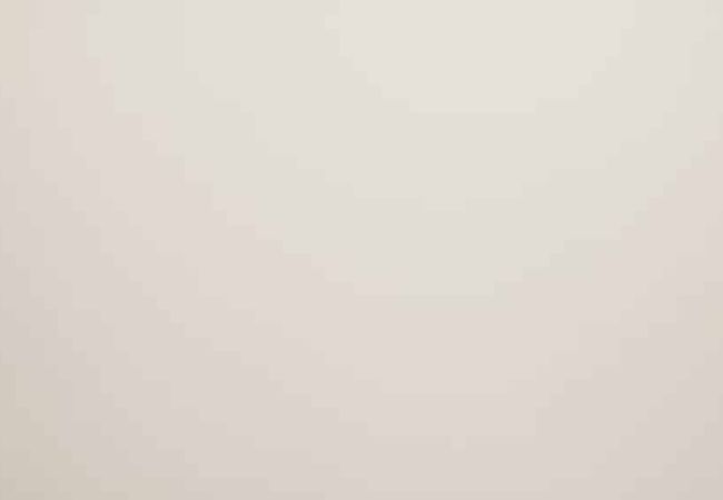 Daltile SlimLite Classic Macadamia