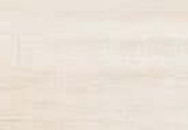 Daltile Transio Prevail