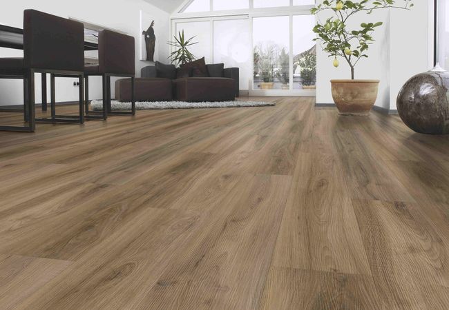 Fuzion Dynamix Endure Amistad Luxury Vinyl Plank view 2