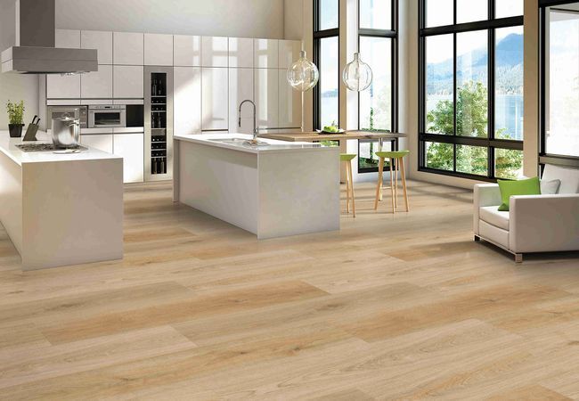 Fuzion Dynamix Endure Reindeer Luxury Vinyl Plank view 2