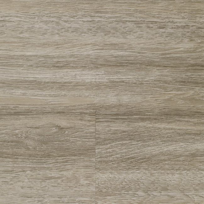 Fuzion Woodlands Beach Tree Luxury Vinyl Plank