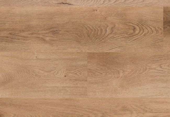 Fuzion Dynamix HardCore Coyote Storm