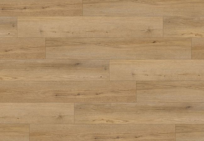 Fuzion Dynamix XL 3DGE Fenland