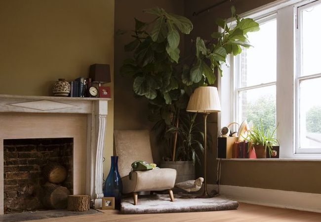 Fuzion - Classical Elegance Oak Engineered