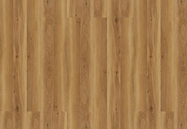 NAF Royal Cornwall Luxury Vinyl Plank view 2