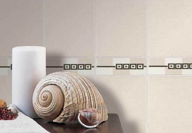 Olympia Splendour Gloss Ceramic Wall Tiles Color: White, Biscuit, Bone, Dark Grey, Taupe, Brown Size: 8 X 10