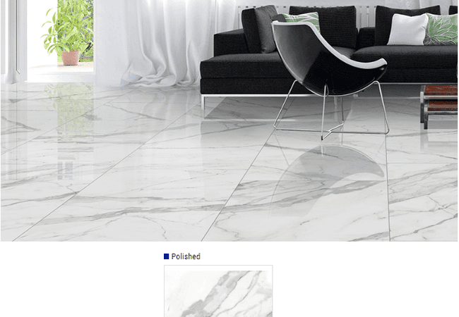 Olympia Arya Polished Glazed Porcelain Tile Color: White Size: 12x24, 24x24, 24x48