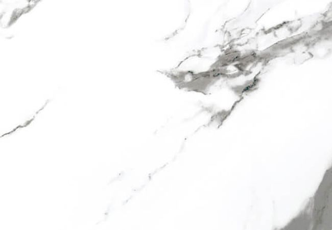 Olympia Carrara X Matte and Polished Porcelain Tile Color: White Size: 24x48, 24x24, 12x24 view 3