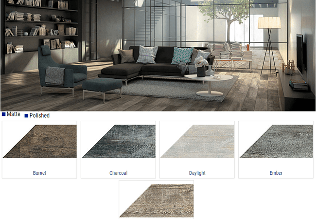 Olympia Noon Matte & Polished Wood Look Porcelain Tiles Color: Burnet, Charcoal, Daylight, Ember, Honey Size: 8x48