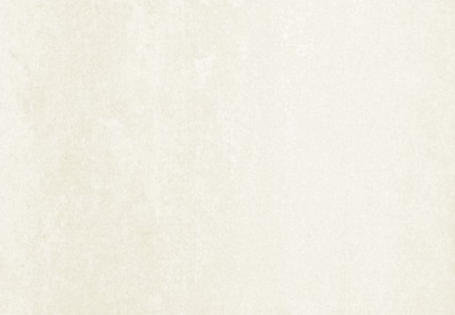 Olympia Regal Flamed Finish Porcelain Tiles Color: Blue, Charcoal, Charcoal Black, Chocolate Brown, Cream, Dark Grey, Gold, Grey, Light Mocha, Noce brown, Olive, Royale Crema, Royale Nero, Sand Beige, Shell White, Taupe, Jet Black Size: 12x12, 12x24 view 5