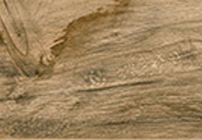 Olympia Savannah Matte Wood Look Glazed Porcelain Tile Color: Honey, Pearl, Sand, Silver, Wenge Size: 6 X 36 view 5
