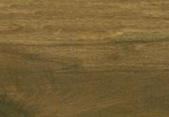 Olympia Timber Matte Wood Look Glazed Porcelain Tile Color: Cherry, Chestnut Dark Brown, Grey, Oak Size: 6 X 24 view 2