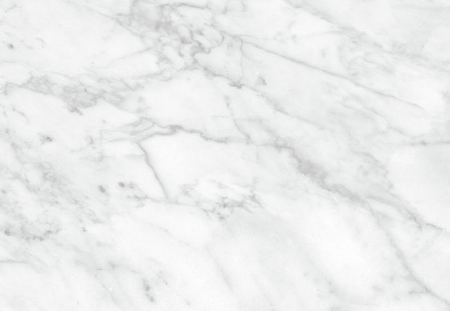 Richmond Tile Plata Carrara Abisso 24"x24" Matte
