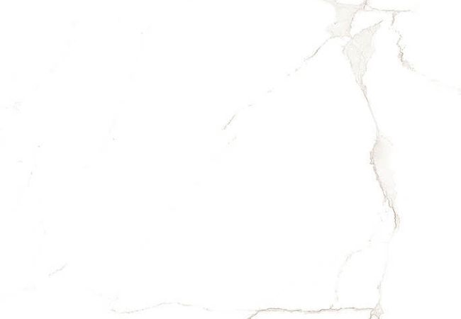 Sidco 24x48 Porcelain Tile Alcora Bianco