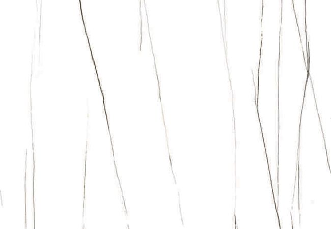 Sidco Robinson White 12x24 Porcelain Tile