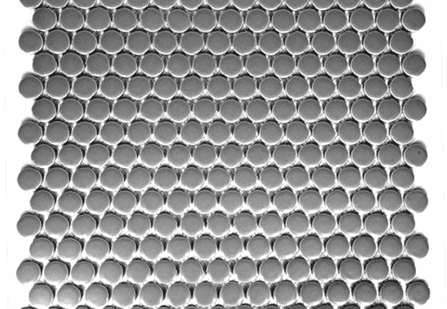 Sarana Tile Mosaics MH Penny MHPENN P008