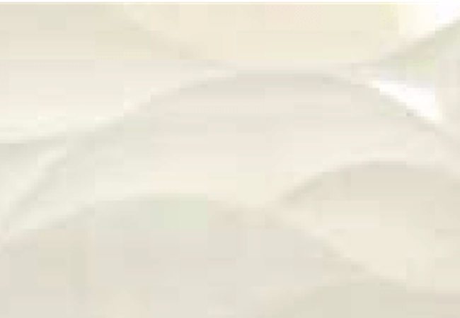 Sarana Tile Saloni Fluctbln