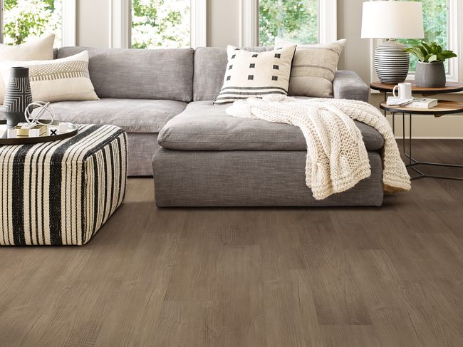 Shaw Endura Plus Casual Comfort Luxury Vinyl Plank view 2