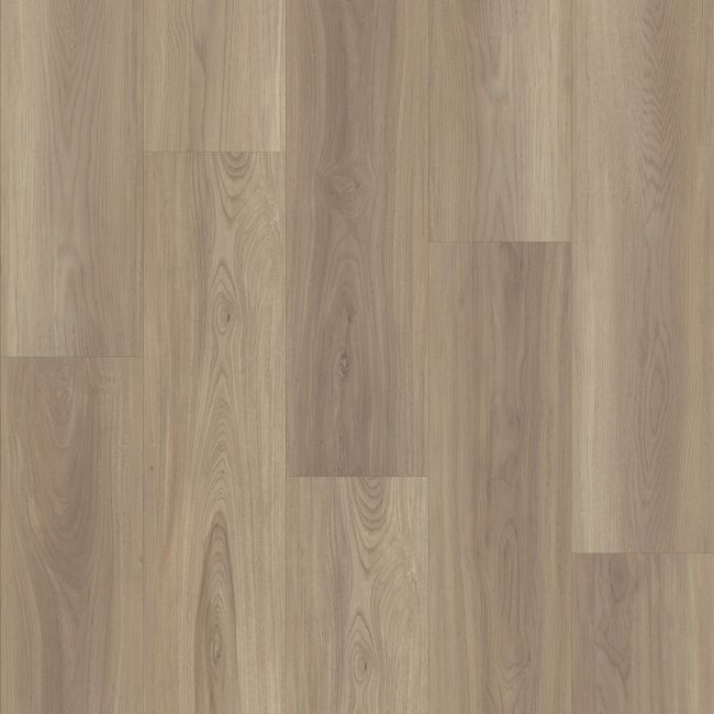 Shaw Endura Plus Lighthouse Luxury Vinyl Plank