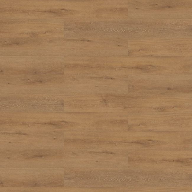 Shaw Noble Roots 2.5 Elm Luxury Vinyl Plank