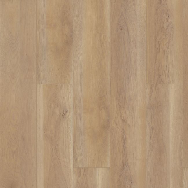 Shaw Paragon HD Plus Natural Bevel Edgemont Luxury Vinyl Plank