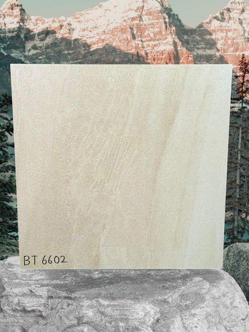 BT6602 24X24 Porcelain TIle