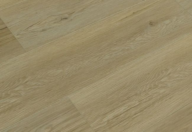 Toucan SPC6 TFSPC609-F Madrid Luxury Vinyl Plank view 2