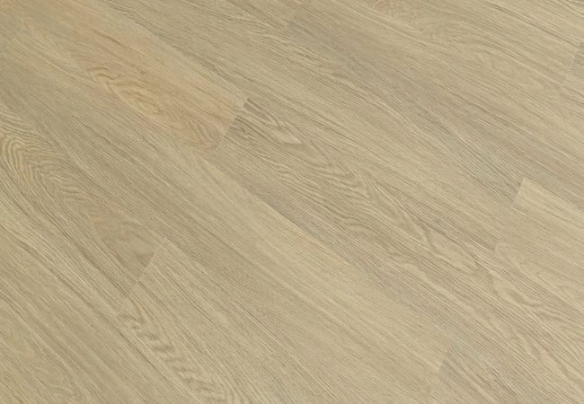 Toucan SPC7 TFSPC707-F Cape Elizabeth Luxury Vinyl Plank view 2