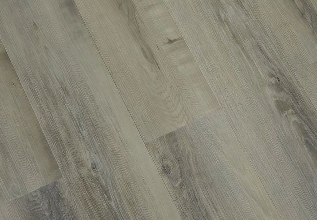 Toucan SPC2 Series TFSPC216-F view 2