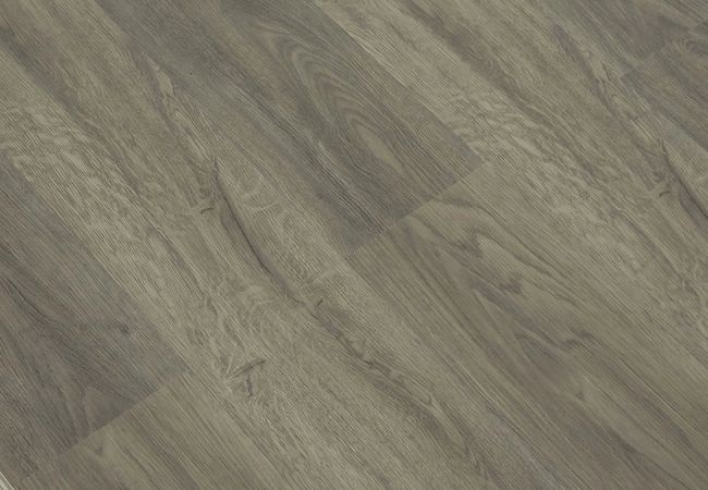 Toucan SPC2 Series TFSPC253-F view 2