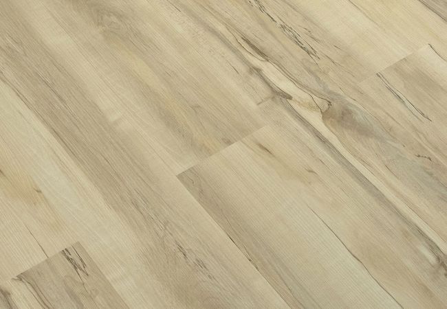 Toucan SPC3 Series TFSPC310-F view 2