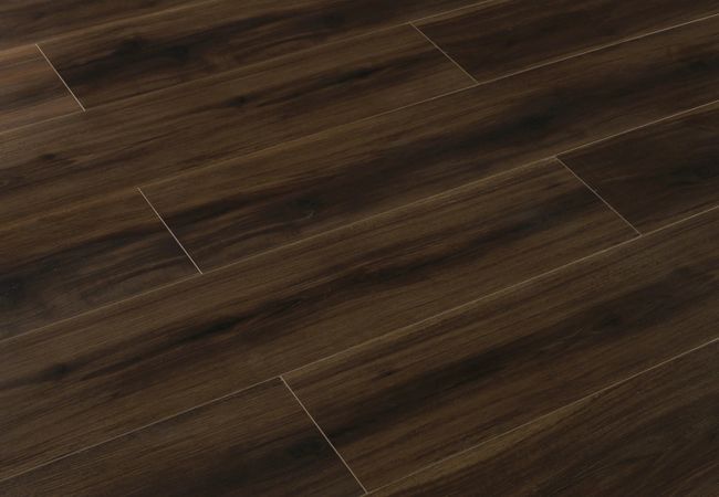 Toucan - Triforest 6mm SPC5 Series