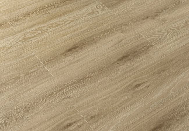 Toucan SPC5 Series TFSPC506-F view 2