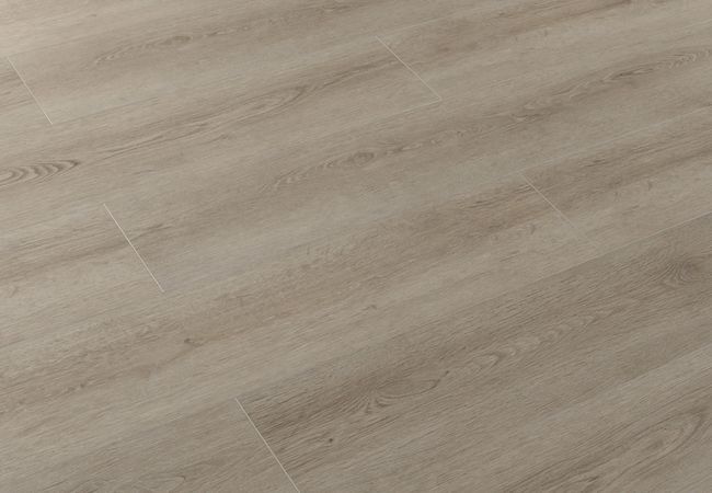 Toucan SPC5 Series TFSPC507-F view 2