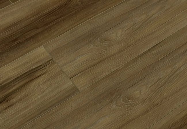 Toucan SPC6 Series TFSPC604-F – Paris view 2