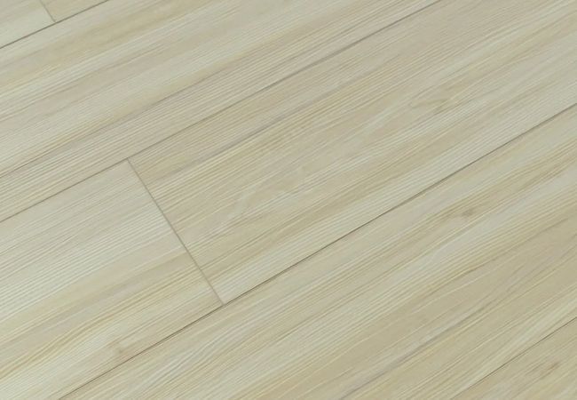 Toucan SPC6 Series TFSPC611-F – Vienna view 2